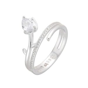 JE Shop Anillo plata