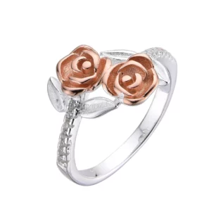Anillo Plata