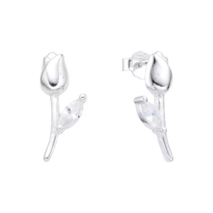 Aretes Plata