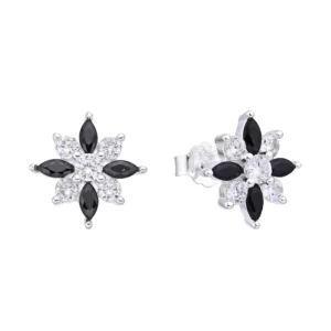 Aretes Plata
