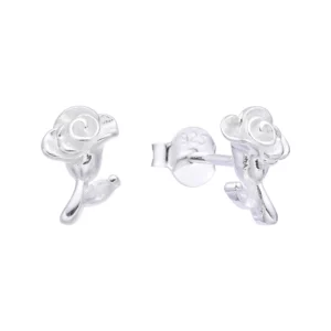 Aretes Plata