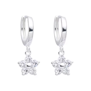 Aretes Plata