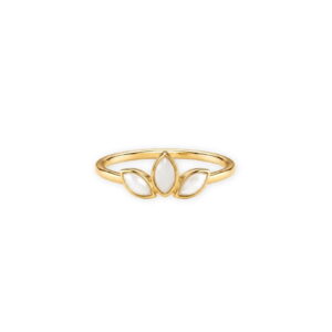 JE Shop Anillo oro
