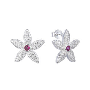Aretes Plata